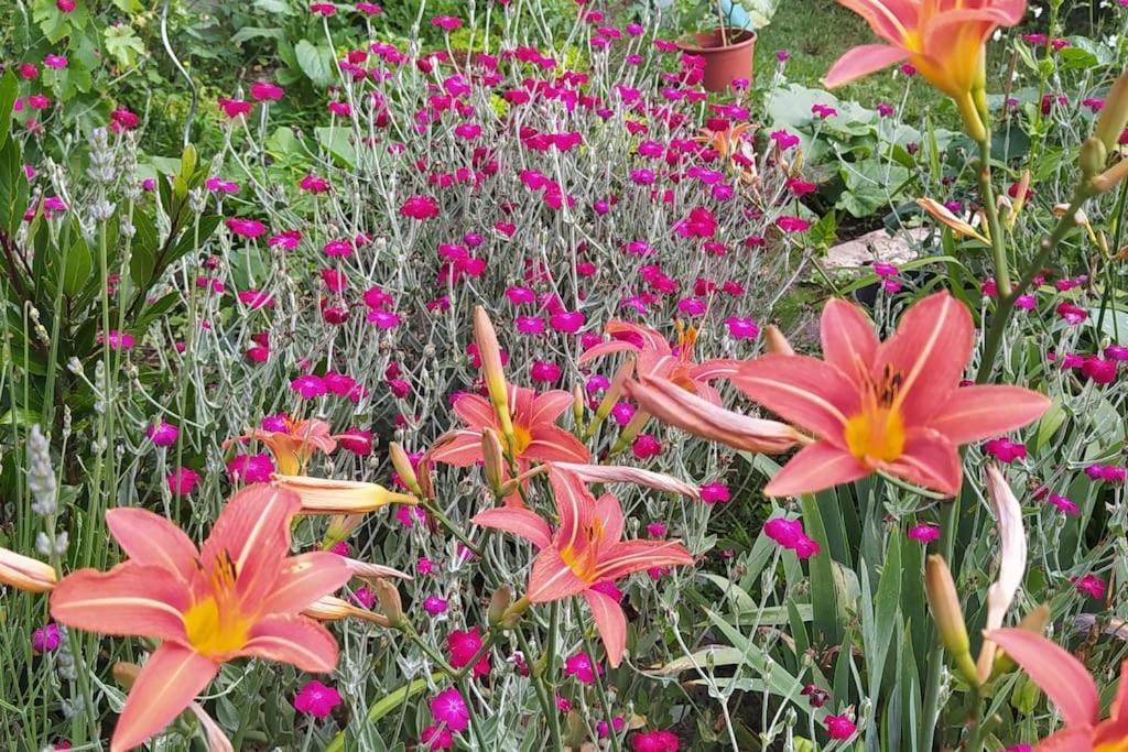 Gite Les Lilas La Genevraye Εξωτερικό φωτογραφία